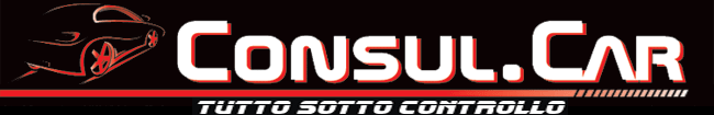 consulcar.net